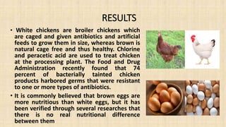 RESULTS
• White chickens are broiler chickens which
are caged and given antibiotics and artificial
feeds to grow them in size, whereas brown is
natural cage free and thus healthy. Chlorine
and peracetic acid are used to treat chicken
at the processing plant. The Food and Drug
Administration recently found that 74
percent of bacterially tainted chicken
products harbored germs that were resistant
to one or more types of antibiotics.
• It is commonly believed that brown eggs are
more nutritious than white eggs, but it has
been verified through several researches that
there is no real nutritional difference
between them
 