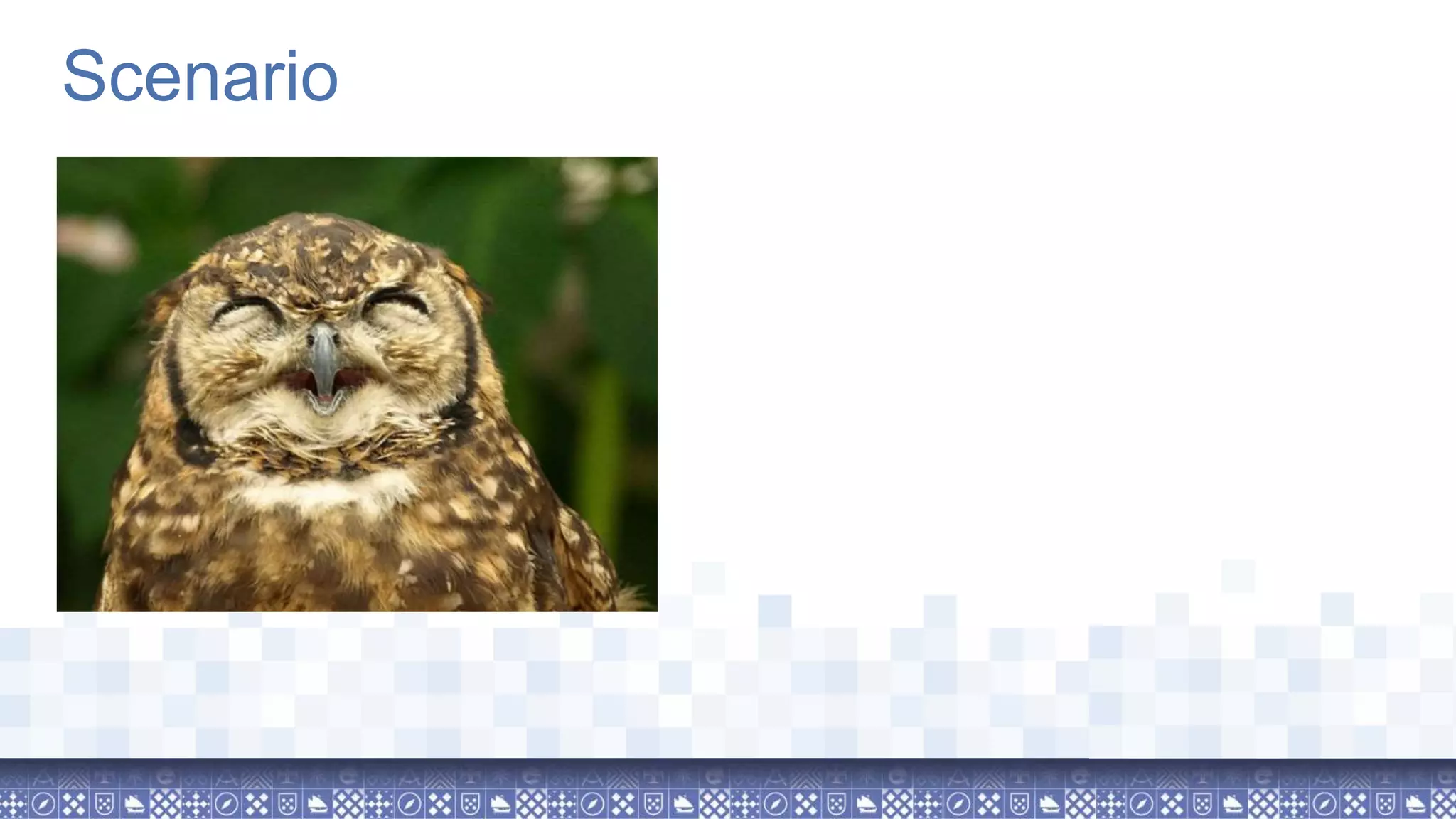 Scenario 