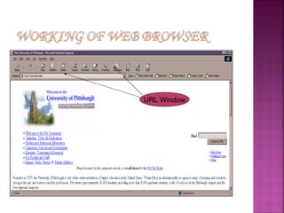 Web Browsers URL Window 