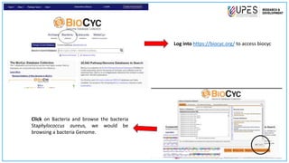 Genome browsing in Bioinformatics.pptx