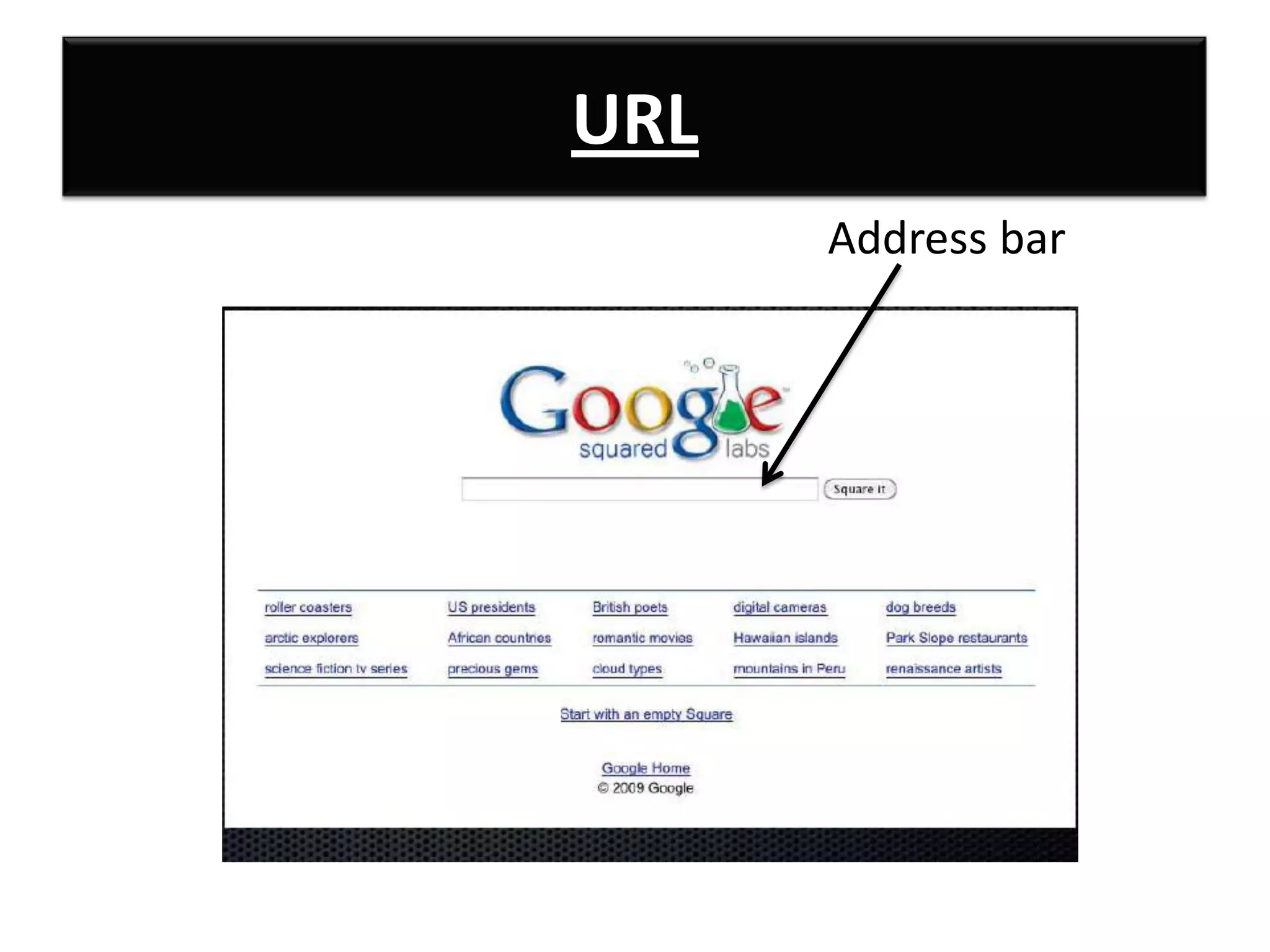 URL
      Address bar
 