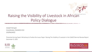 Better lives through livestock
Raising the Visibility of Livestock in African
Policy Dialogue
Joseph Karugia
Coordinator, ReSAKSS-ECA
ILRI/ReSAKSS
Presented during Expert Writeshop to Finalize the Issues Paper: Raising The Visibility of Livestock in the CAADP Biennial Review Report
December 9, 2020
 