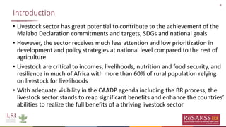Raising the visibility of livestock in African Policy Dialogue