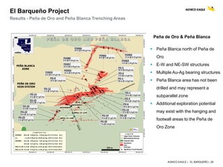 AGNICO EAGLE | EL BARQUEÑO | 28
El Barqueño Project
Results - Peña de Oro and Peña Blanca Trenching Areas
Peña de Oro & Peña Blanca
 Peña Blanca north of Peña de
Oro
 E-W and NE-SW structures
 Multiple Au-Ag bearing structures
 Peña Blanca area has not been
drilled and may represent a
subparallel zone
 Additional exploration potential
may exist with the hanging and
footwall areas to the Peña de
Oro Zone
 