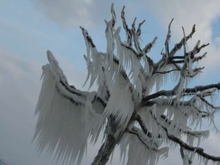 Brrrrrr ! Versoix_en_suisse