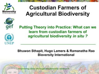 Custodian Farmers of
Agricultural Biodiversity
Putting Theory into Practice: What can we
learn from custodian farmers of
agricultural biodiversity in situ ?

Bhuwon Sthapit, Hugo Lamers & Ramanatha Rao
Bioversity International

 