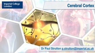 Dr Paul Strutton p.strutton@imperial.ac.uk
 