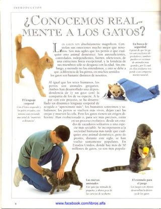 Guia para um gato de 14 vidas pdf by ometodox1 - Issuu