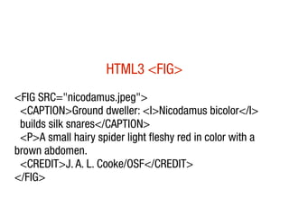 HTML3 <FIG>
<FIG SRC="nicodamus.jpeg">
 <CAPTION>Ground dweller: <I>Nicodamus bicolor</I>
 builds silk snares</CAPTION>
 <...