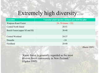 Extremely high diversity…
Location Vascular plant species richness per 0.04 ha plot
Waipoua Kauri Forest 24 -70 (mean = 52)
Central North Island 28-51
Beech Forest (upper NI and SI) 30-40
Central Westland 24-37
Dunedin ~24
Fiordland 20-40
(Burns 1995)
‘Kauri forest is generally regarded as the most
diverse forest community in New Zealand.’
(Ogden 1995)
 