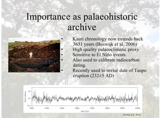 Importance as palaeohistoric
archive
• Kauri chronology now extends back
3631 years (Boswijk et al. 2006)
• High quality palaeoclimatic proxy
• Sensitive to El Niño events
• Also used to calibrate radiocarbon
dating.
• Recently used to revise date of Taupo
eruption (232±5 AD)
(Fowler et al. 2012)
 