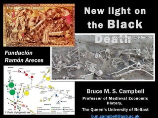 New light on
the Black
Death
Bruce M. S. Campbell
Professor of Medieval Economic
History,
The Queen’s University of Belfast
b.m.campbell@qub.ac.uk
The plague in TournaiThe plague in Tournai
London plague burialsLondon plague burials
Y. Pestis phylogenetic tree
Fundación
Ramón Areces
 