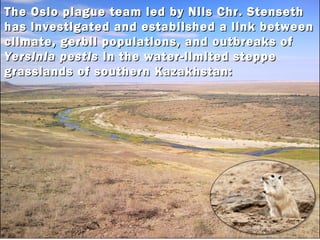 The Oslo plague team led by Nils Chr. StensethThe Oslo plague team led by Nils Chr. Stenseth
has investigated and establis...