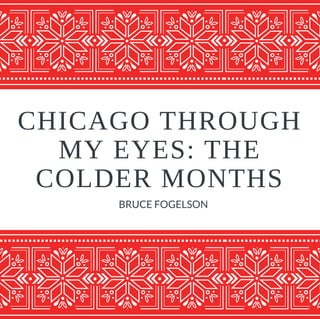 CHICAGO THROUGH
MY EYES: THE
COLDER MONTHS
BRUCE FOGELSON
 