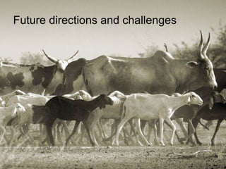 Knowledge to Action: ILRI’s role in pro-poor livestock research for development