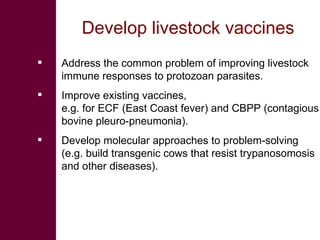 Knowledge to Action: ILRI’s role in pro-poor livestock research for development