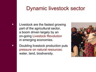 Knowledge to Action: ILRI’s role in pro-poor livestock research for development