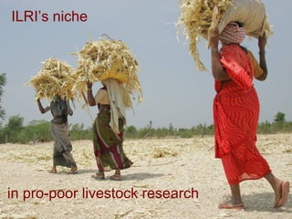 Knowledge to Action: ILRI’s role in pro-poor livestock research for development