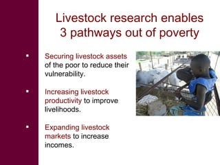 Knowledge to Action: ILRI’s role in pro-poor livestock research for development