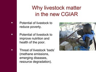 Knowledge to Action: ILRI’s role in pro-poor livestock research for development