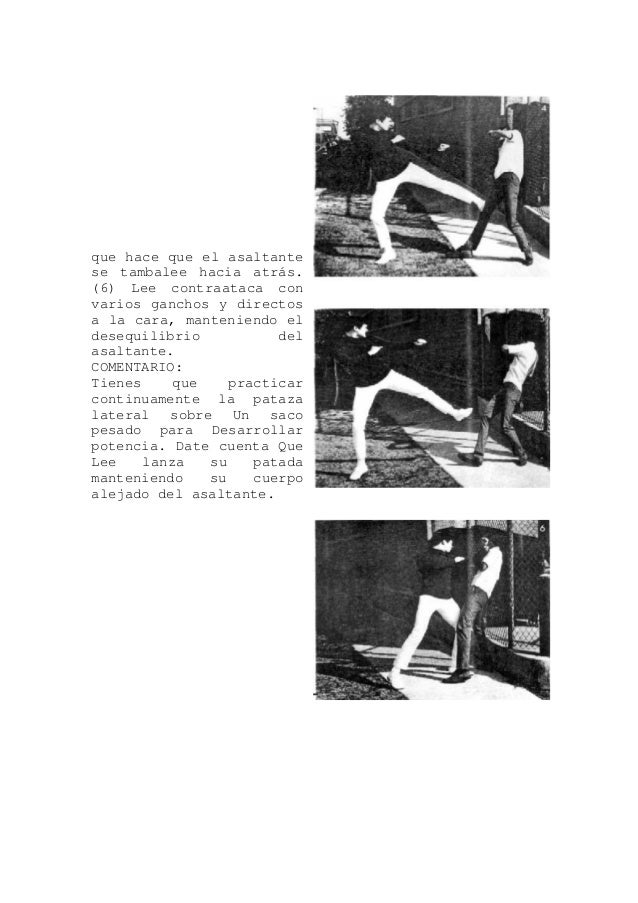 Bruce lee artist of life pdf