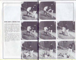 Bruce Lee Fighting Method Volume 1