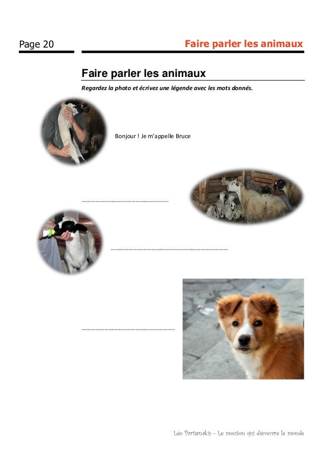 Bruce le mouton qui découvre le monde bruce le mouton qui dcouvre le monde