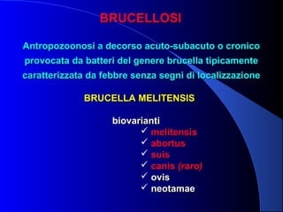 BRUCELLOSIBRUCELLOSI
BRUCELLA MELITENSISBRUCELLA MELITENSIS
biovariantibiovarianti
 melitensismelitensis
 abortusabortus
 suissuis
 caniscanis (raro)(raro)
 ovisovis
 neotamaeneotamae
Antropozoonosi a decorso acuto-subacuto o cronicoAntropozoonosi a decorso acuto-subacuto o cronico
provocata da batteri del genere brucella tipicamenteprovocata da batteri del genere brucella tipicamente
caratterizzata da febbre senza segni di localizzazionecaratterizzata da febbre senza segni di localizzazione
 