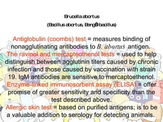 Brucella abortus (Bacillus abortus, Bang’s bacillus) Antiglobulin (coombs) test  = measures binding of nonagglutinating antibodies to  B. abortus  antigen.  The ravinol and mercapteothenol tests  = used to help distinguish between agglutinin titers caused by chronic infection and those caused by vaccination with strain 19. IgM antibodies are sensitive to mercaptoethenol. Enzyme-linked immunosorbent assay (ELISA)  = offer promise of greater sensitivity and specificity than the test described above. Allergic skin test  = based on purified antigens; is to be a valuable addition to serology for detecting animals.  