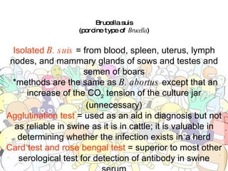 Brucella suis (porcine type of  Brucella ) Isolated  B. suis  = from blood, spleen, uterus, lymph nodes, and mammary glands of sows and testes and semen of boars *methods are the same as  B. abortus  except that an increase of the CO 2  tension of the culture jar (unnecessary) Agglutination test  = used as an aid in diagnosis but not as reliable in swine as it is in cattle; it is valuable in determining whether the infection exists in a herd Card test and rose bengal test  = superior to most other serological test for detection of antibody in swine serum ELISA  = it replaced the tube agglutination test 
