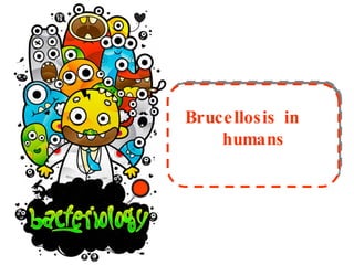 Brucellosis in  humans 