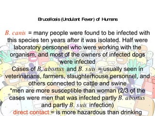 Brucellosis (Undulant Fever) of Humans B. canis  = many people were found to be infected with this species ten years after it was isolated. Half were laboratory personnel who were working with the organism, and most of the owners of infected dogs were infected Cases of  B. abortus  and  B. suis  = usually seen in veterinarians, farmers, slaughterhouse personnel, and others connected to cattle and swine *men are more susceptible than woman (2/3 of the cases were men that was infected partly  B. abortus  and partly  B. suis  infection) direct contact  = is more hazardous than drinking infected milk (infections in men are more common even in areas where the predominant type is  B. abortus ) 