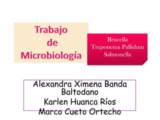 Brucella
             Treponema Pallidum
                 Salmonella



Alexandra Ximena Banda
       Baltodano
   Karlen Huanca Ríos
 Marco Cueto Ortecho
 