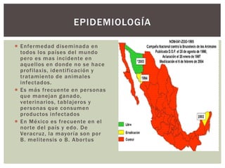 EPIDEMIOLOGÍA

 Enfermedad diseminada en
  todos los países del mundo
  pero es mas incidente en
  aquellos en donde no se hace
  profilaxis, identificación y
  tratamiento de animales
  infectados.
 Es más frecuente en per sonas
  que manejan ganado,
  veterinarios, tablajeros y
  personas que consumen
  productos infectados
 En México es frecuente en el
  nor te del país y edo. De
  Veracruz, la mayoría son por
  B. melitensis o B. Abor tus
 