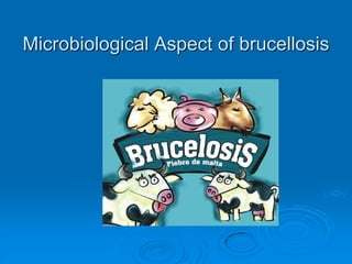 Microbiological Aspect of brucellosis
 