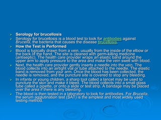  Serology for brucellosis
 Serology for brucellosis is a blood test to look for antibodies against
Brucella, the bacteria that causes the disease brucellosis.
 How the Test is Performed
 Blood is typically drawn from a vein, usually from the inside of the elbow or
the back of the hand. The site is cleaned with germ-killing medicine
(antiseptic). The health care provider wraps an elastic band around the
upper arm to apply pressure to the area and make the vein swell with blood.
 Next, the health care provider gently inserts a needle into the vein. The
blood collects into an airtight vial or tube attached to the needle. The elastic
band is removed from your arm. Once the blood has been collected, the
needle is removed, and the puncture site is covered to stop any bleeding.
 In infants or young children, a sharp tool called a lancet may be used to
puncture the skin and make it bleed. The blood collects into a small glass
tube called a pipette, or onto a slide or test strip. A bandage may be placed
over the area if there is any bleeding.
 The blood is then tested in a laboratory to look for antibodies. For Brucella,
the serum agglutination test (SAT) is the simplest and most widely used
testing method.
 