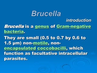 introduction
Brucella is a genus of Gram-negative
bacteria.
They are small (0.5 to 0.7 by 0.6 to
1.5 µm) non-motile, non-
encapsulated coccobacilli, which
function as facultative intracellular
parasites.
 