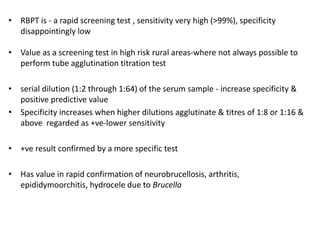 Rbst Testing Brucella | PPTX