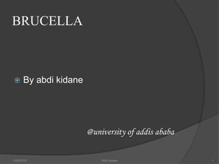 BRUCELLA
 By abdi kidane
@university of addis ababa
3/29/2019 Abdi kidane 1
 