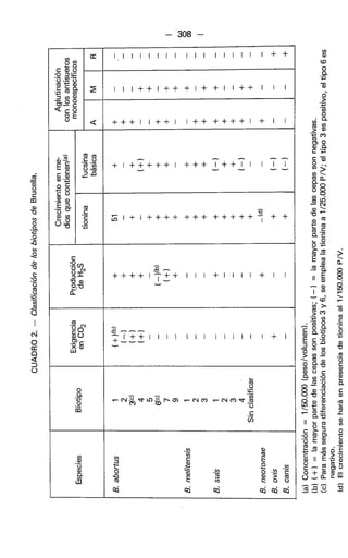 308CUADRO2.—ClasificacióndelosbiotiposdeBrucella.
(a)Concentración=1/50.000(peso/volumen).
(b)(+)=lamayorpartedelascepassonpositivas;(-)=lamayorpartedelascepassonnegativas.
(c)Paramásseguradiferenciacióndelosbiotipos3y6,seemplealationinaa1/25.000P/V;eltipo3espositivo,eltipo6es
negativo.
(d)Elcrecimientoseharáenpresenciadetioninaal1/150.000P/V.
Aglutinación
conlosantisueros
monoespecíficos
cr l i l i l í ! I l l 1 1 1 1 1 1 + +Aglutinación
conlosantisueros
monoespecíficos
I I I + + I + + + I + + I I + + I 1 1
Aglutinación
conlosantisueros
monoespecíficos
< + + + I I + + I I + + + + + + I + I 1
Crecimientoenme-
diosquecontienen13
'
Tucsina
básica
+ I + + + + + I + + + T + + I i i
Crecimientoenme-
diosquecontienen13
'
tionina
+ + + + + + + + + + + + - + +
Producción
deH2S
+ + + + + I I I + I I I I + I 1
Exigencia
enC02
3 . . Ä
~ r + + i i i i i l i i i i i i i + i
Biotipo
co
o
I t
,- CSI ^ <d- LD ^ Oí CSI 00 *— CSI CO _co
c
C/i
Especies
B.abortus
B.melìtensis
B.suis
B.neotomae
B.ovis
B.canis
 
