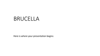 BRUCELLA
Here is where your presentation begins
 