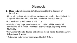 Diagnosis
1. Blood culture is the most definitive method for the diagnosis of
brucellosis.
• Blood is inoculated into a bottle of trypticase soy broth or brucella broth in
a biphasic blood culture bottle, also called the Castaneda method.
• It is incubated at 37°C under 5- 10% CO2•
• Ausually scanty, large volumes of blood (5 ml) should be inoculated.
Subcultures are made on solid media every 3-5 days, beginning on the
fourth day.
• Growth may often be delayed and cultures should not be declared negative
in less than 6-8 weeks.
• Automated cultures may become positive in 5-6 days.
 