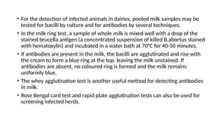 • For the detection of infected animals in dairies, pooled milk samples may be
tested for bacilli by culture and for antibodies by several techniques.
• In the milk ring test, a sample of whole milk is mixed well with a drop of the
stained brucella antigen (a concentrated suspension of killed B.abortus stained
with hematoxylin) and incubated in a water bath at 70°C for 40-50 minutes.
• If antibodies are present in the milk, the bacilli are agglutinated and rise with
the cream to form a blue ring at the top, leaving the milk unstained. If
antibodies are absent, no coloured ring is formed and the milk remains
uniformly blue.
• The whey agglutination test is another useful method for detecting antibodies
in milk.
• Rose Bengal card test and rapid plate agglutination tests can also be used for
screening infected herds.
 
