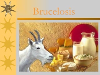 Brucelosis 