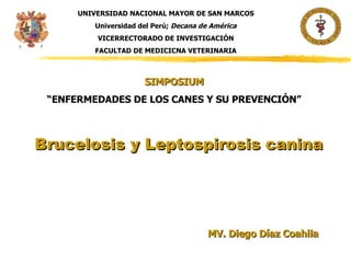 Brucelosis y Leptospirosis canina MV. Diego Díaz Coahila UNIVERSIDAD NACIONAL MAYOR DE SAN MARCOS Universidad del Perú;  Decana de América VICERRECTORADO DE INVESTIGACIÓN FACULTAD DE MEDICICNA VETERINARIA SIMPOSIUM “ ENFERMEDADES DE LOS CANES Y SU PREVENCIÓN” 