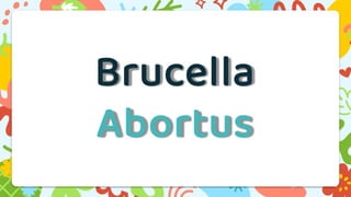 Brucella
Abortus
 