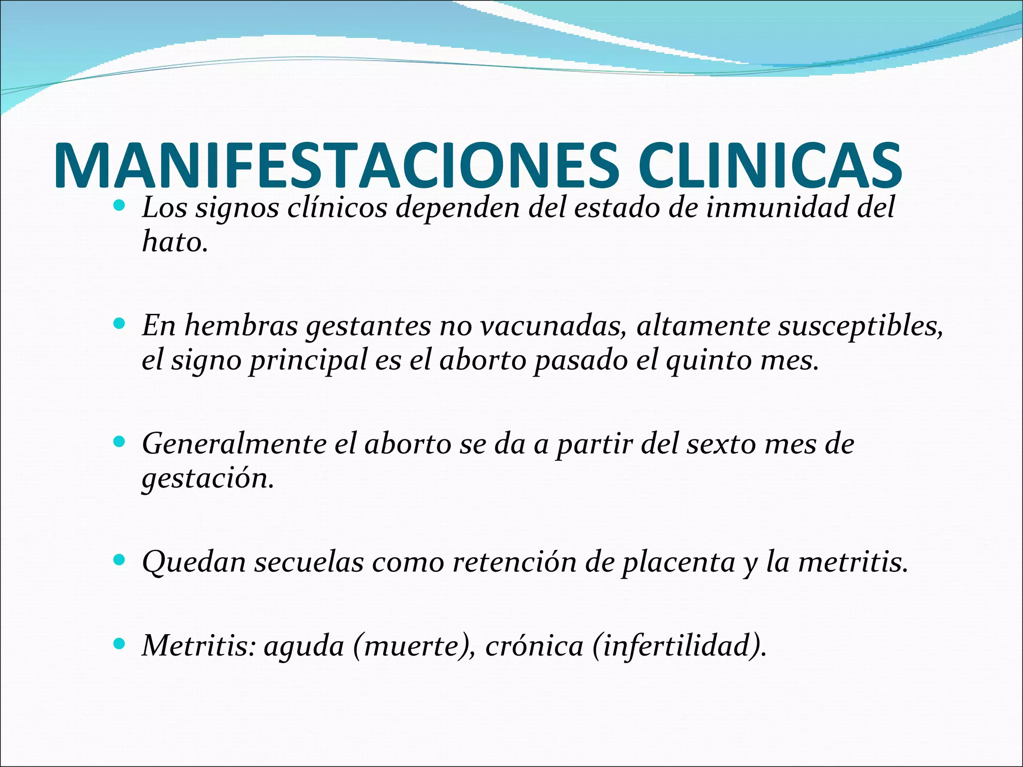 MANIFESTACIONES CLINICAS Los signos clínicos dependen del estado de inmunidad del hato. En hembras gestantes no vacunadas, altamente susceptibles, el signo principal es el aborto pasado el quinto mes. Generalmente el aborto se da a partir del sexto mes de gestación. Quedan secuelas como retención de placenta y la metritis. Metritis: aguda (muerte), crónica (infertilidad). 