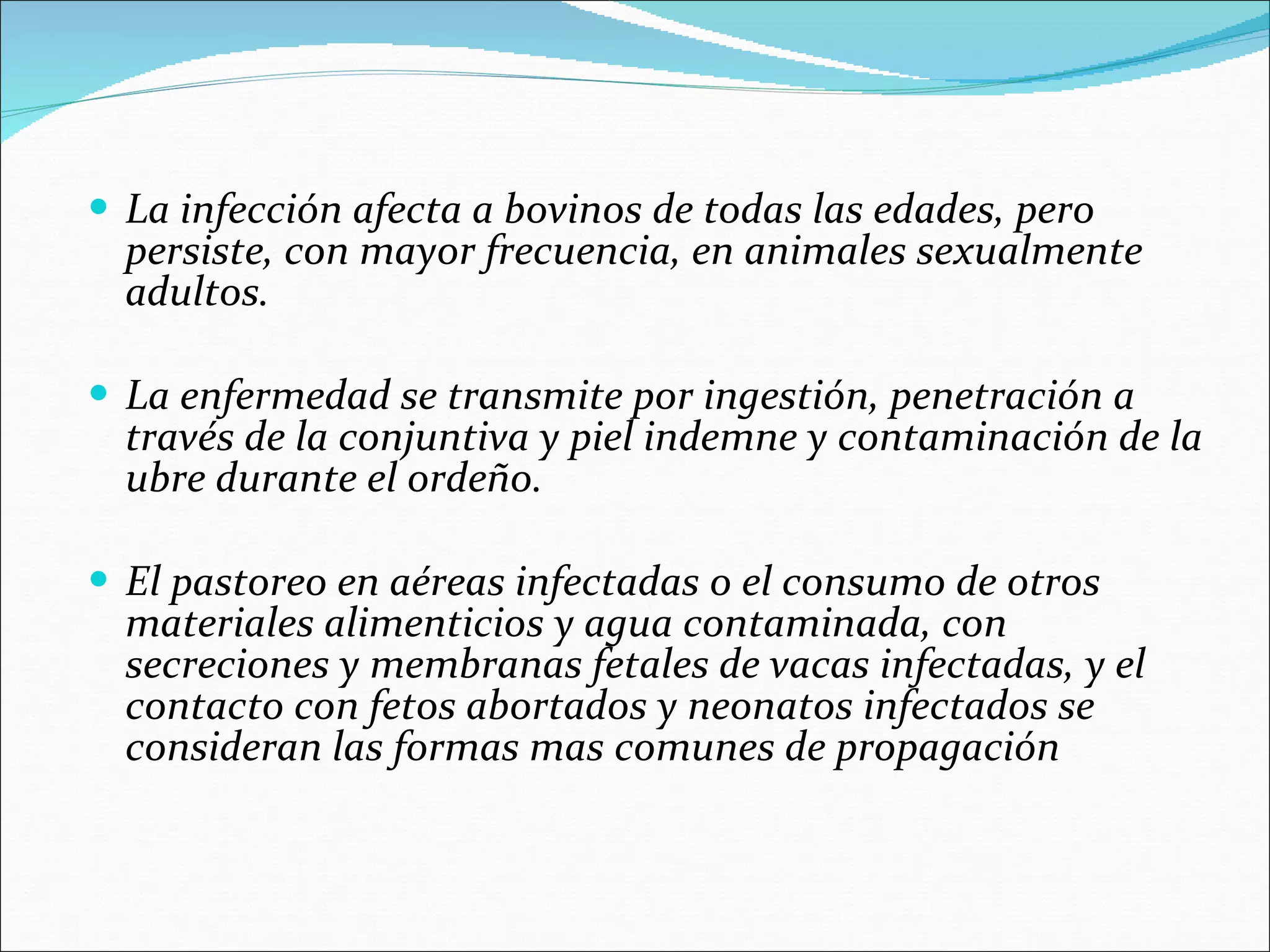 La infección afecta a bovinos de todas las edades, pero persiste, con mayor frecuencia, en animales sexualmente adultos. La enfermedad se transmite por ingestión, penetración a través de la conjuntiva y piel indemne y contaminación de la ubre durante el ordeño. El pastoreo en aéreas infectadas o el consumo de otros materiales alimenticios y agua contaminada, con secreciones y membranas fetales de vacas infectadas, y el contacto con fetos abortados y neonatos infectados se consideran las formas mas comunes de propagación 