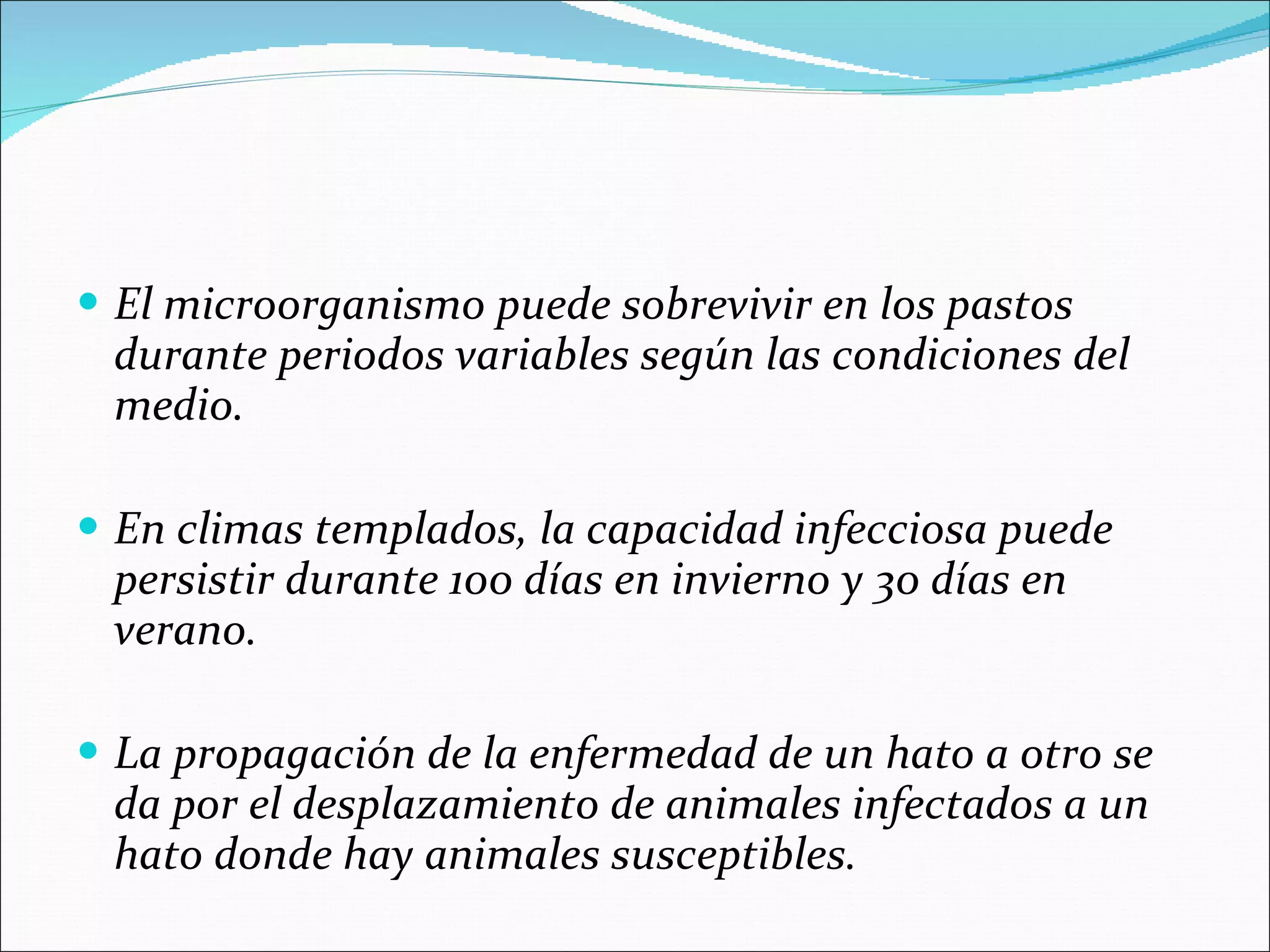 El microorganismo puede sobrevivir en los pastos durante periodos variables según las condiciones del medio. En climas templados, la capacidad infecciosa puede persistir durante 100 días en invierno y 30 días en verano. La propagación de la enfermedad de un hato a otro se da por el desplazamiento de animales infectados a un hato donde hay animales susceptibles. 