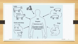 24-09-2020ABHIJITH SP CVAS POOKODE 11
 